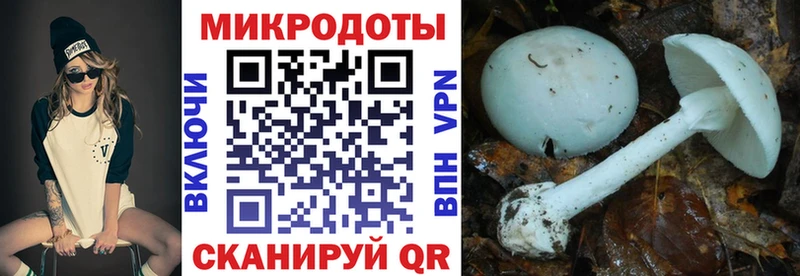 магазин    Олёкминск  Псилоцибиновые грибы MAGIC MUSHROOMS 